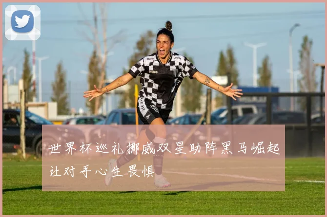 世界杯巡礼挪威双星助阵黑马崛起让对手心生畏惧